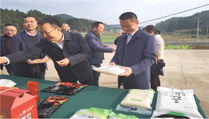 市委常委、政法委書記劉波濤帶隊調研指導定點幫扶村鄉(xiāng)村振興工作